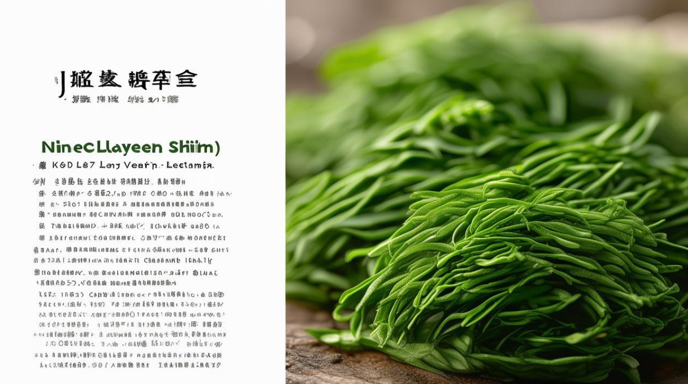 中草药九层皮的作用