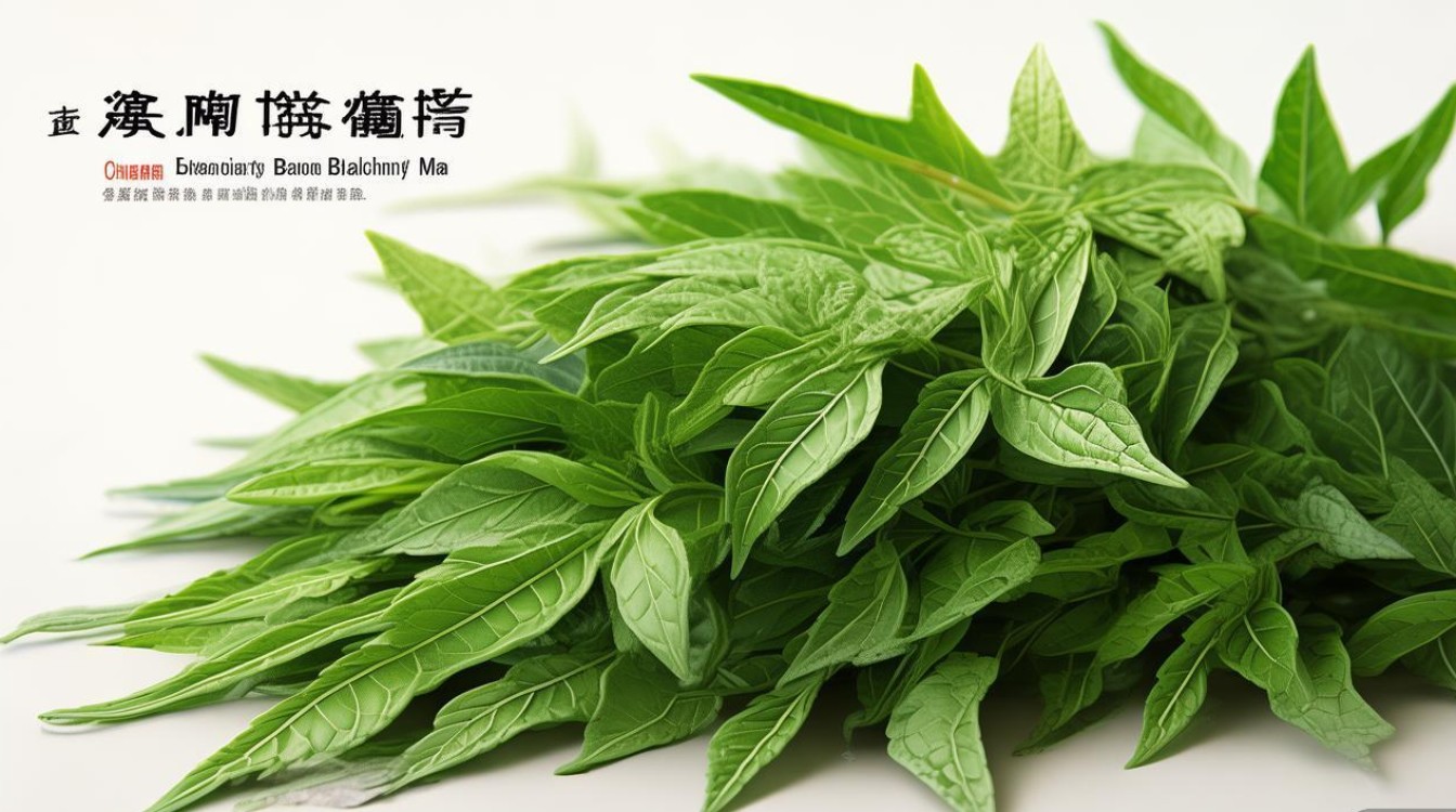 中草药八里麻图片