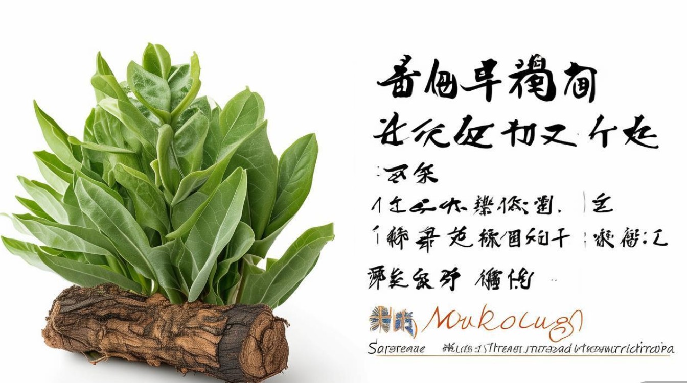 木防己药材图片