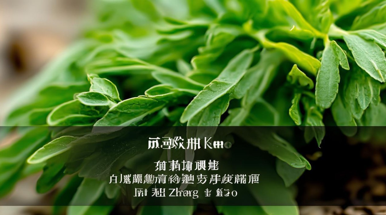 中草药见肿消学名