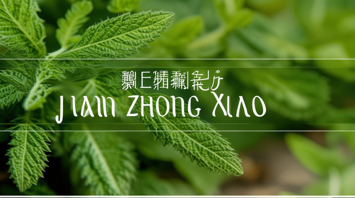 中草药见肿消学名