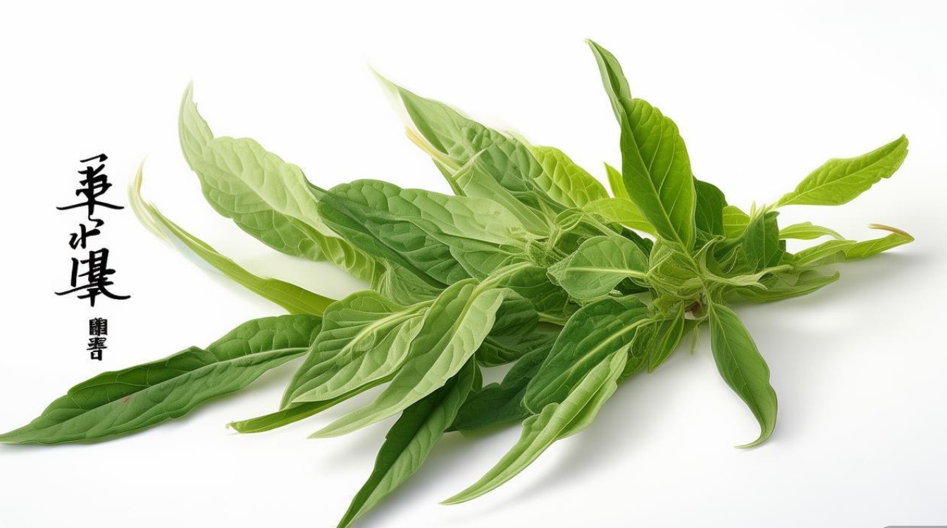 中草药好本的别名