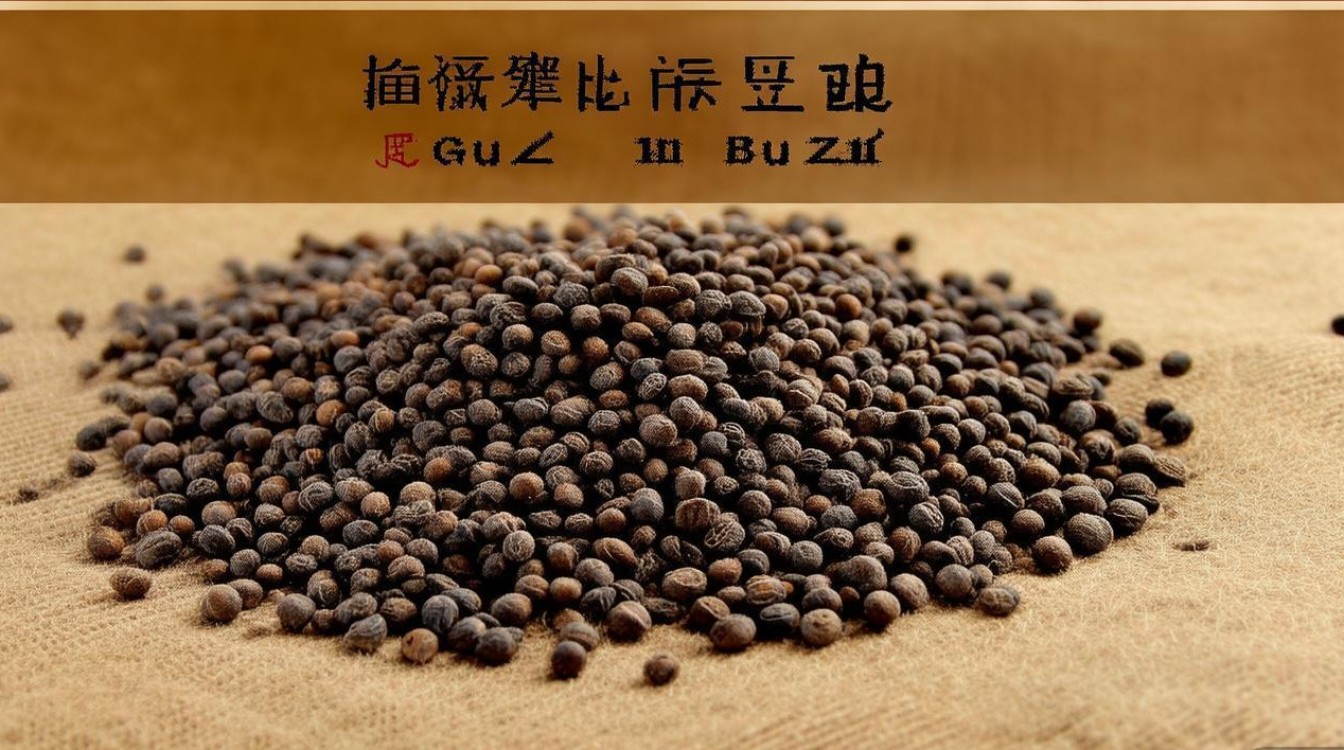补骨脂药材图片