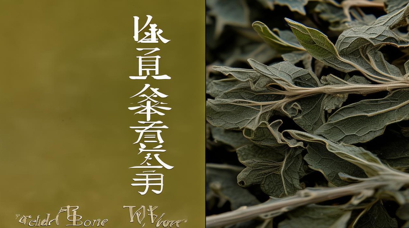 中草药冷骨风