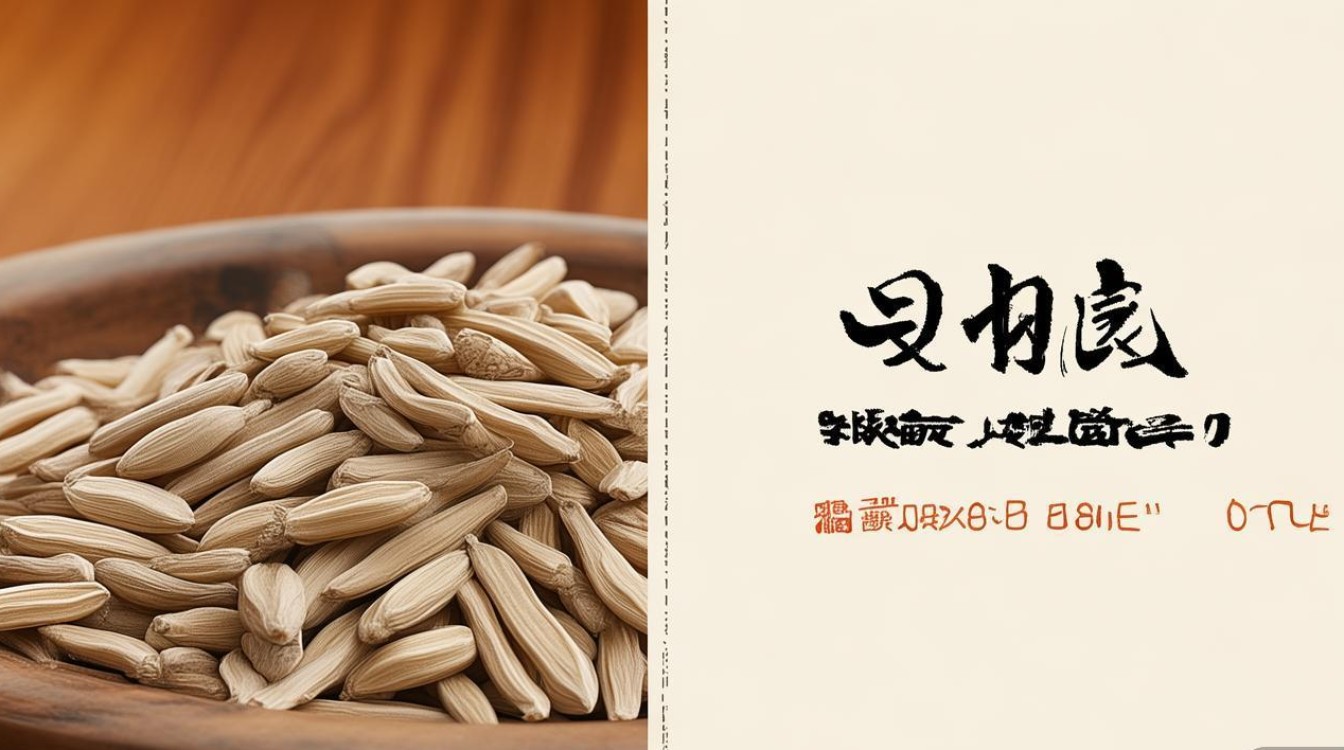 中药材秦艽的种子价格