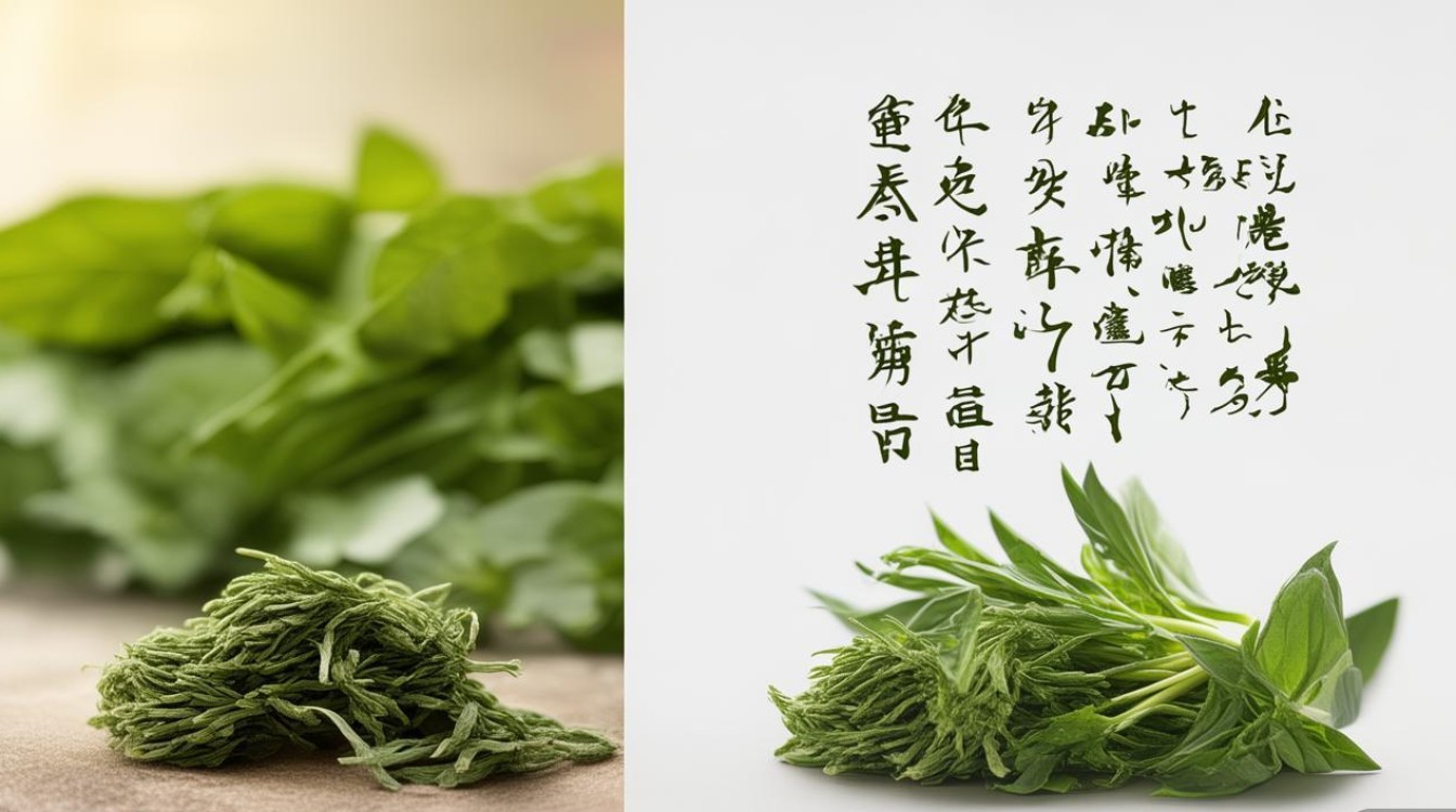 去腐生肌的中药材