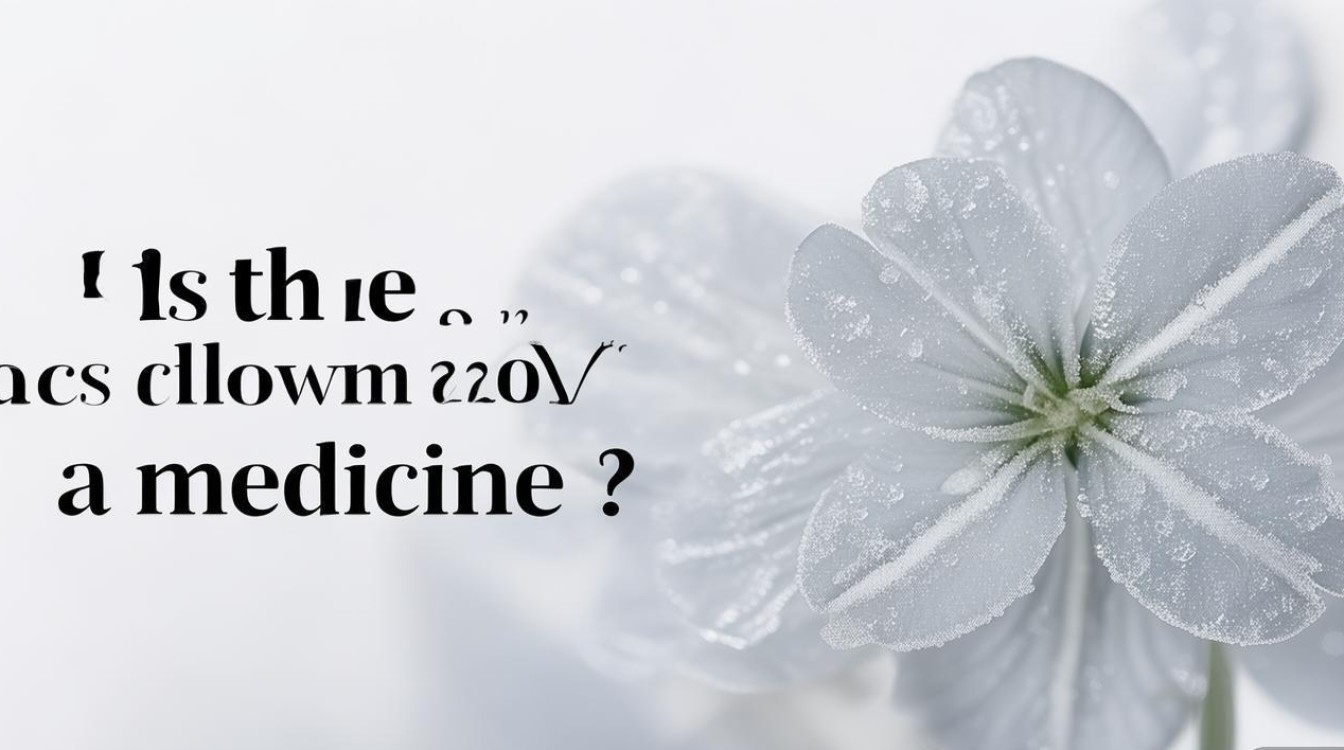 冰凌花是药材吗