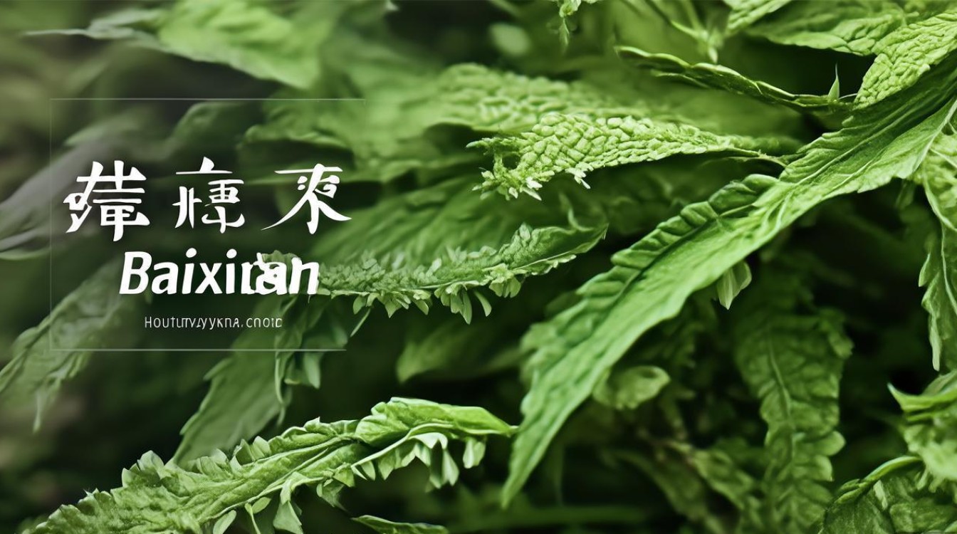 中草药白蔹