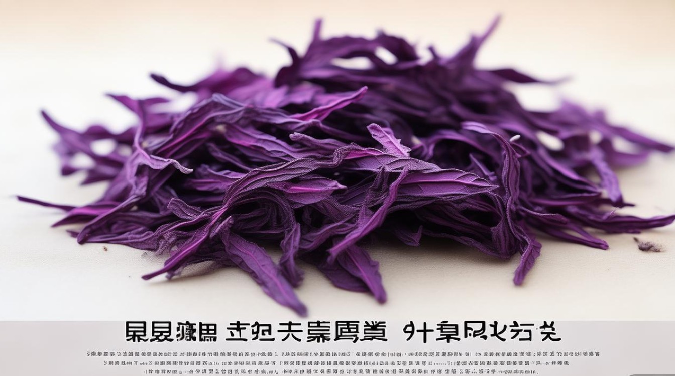 中药材紫苏图片