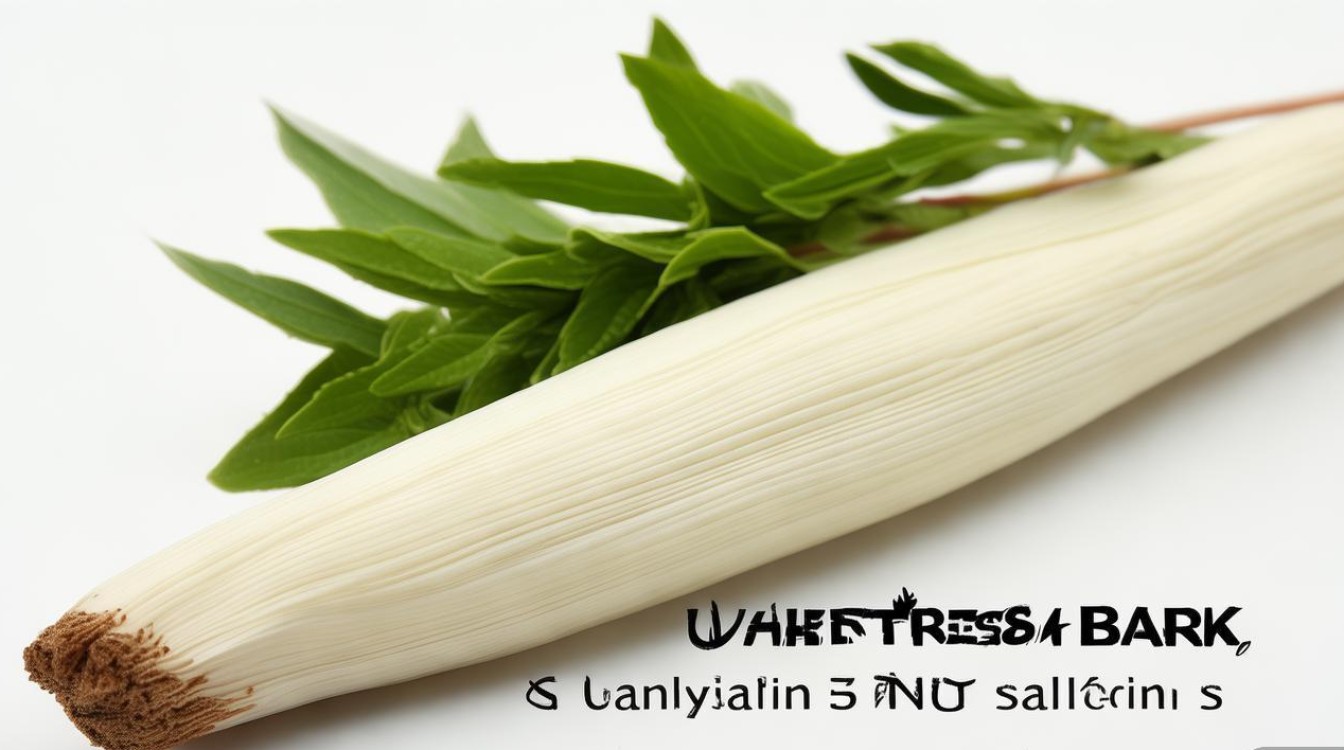白鲜皮药材图片