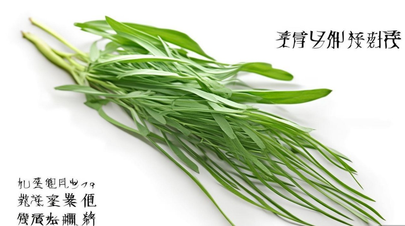中药材玉竹图片