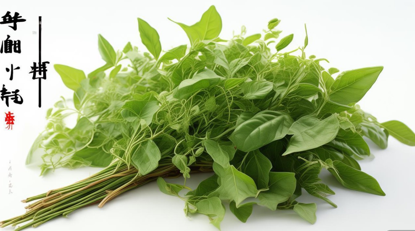益母草 中药材