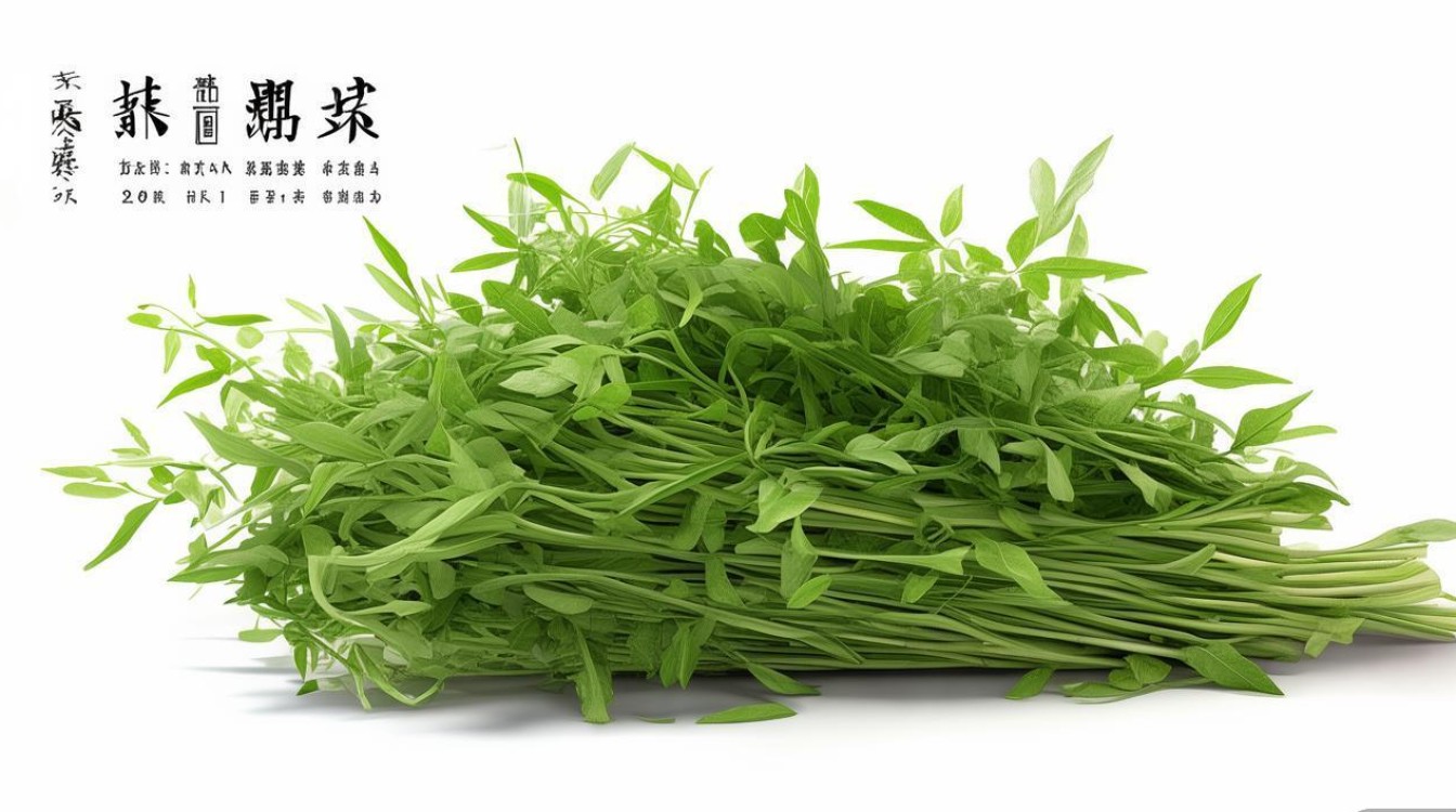 益母草 中药材