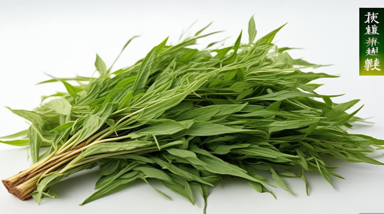 益母草 中药材