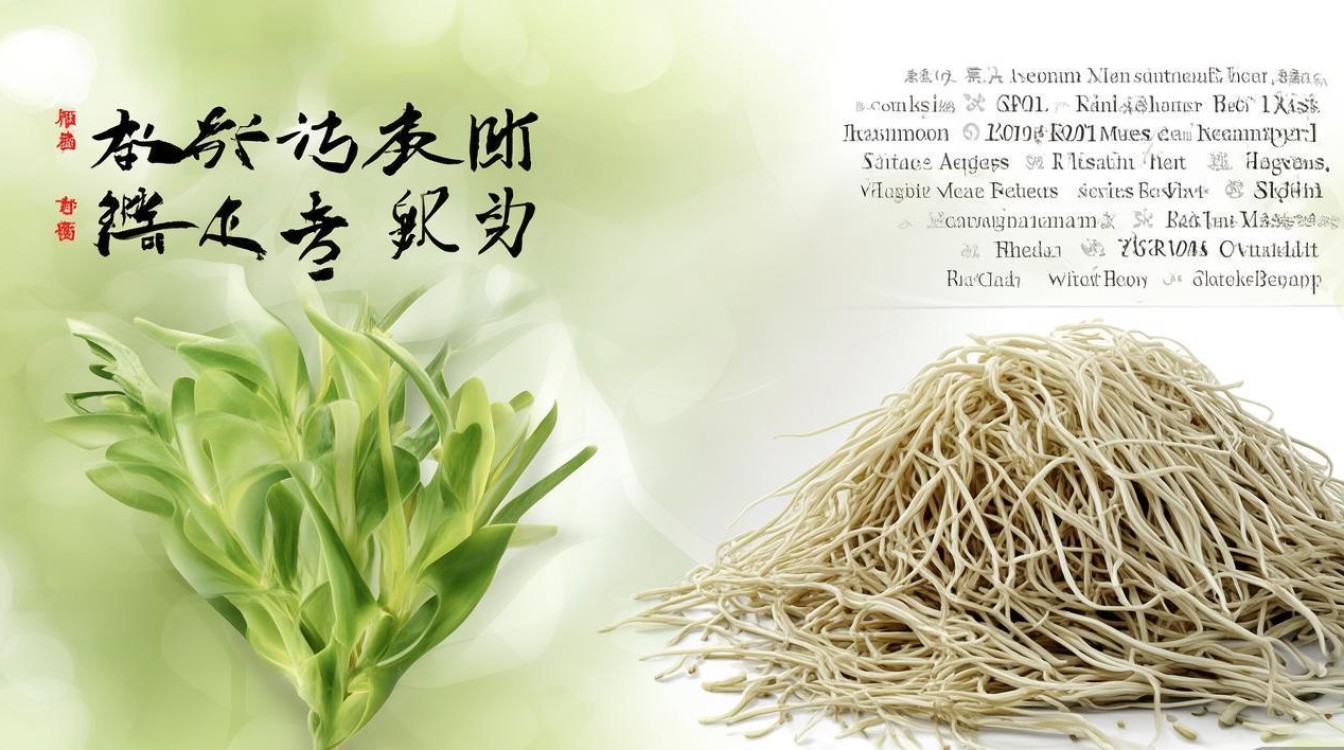 中草药麦冬的功效与作用